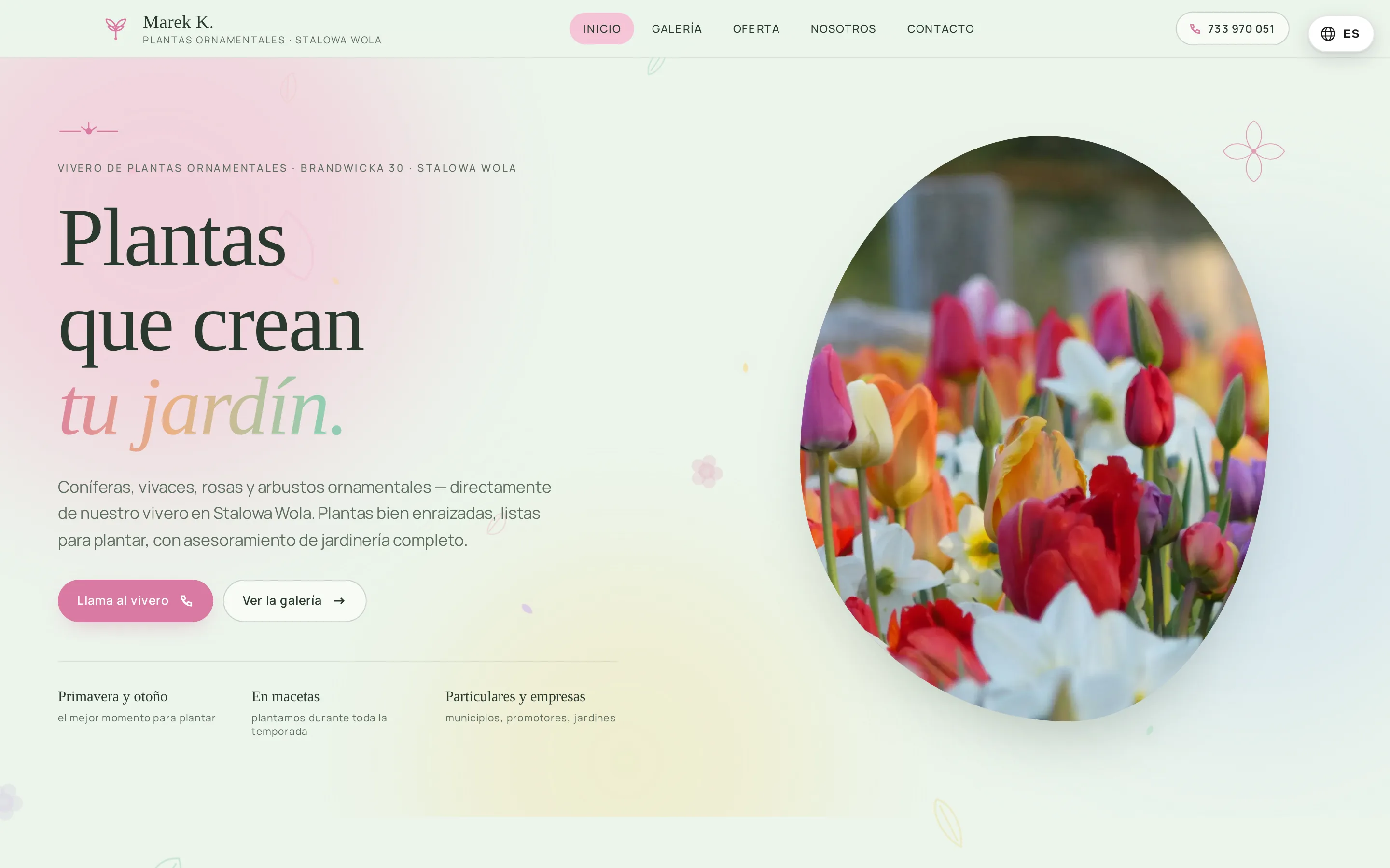 Zrzut ekranu strony Marek K. Plantas Ornamentales