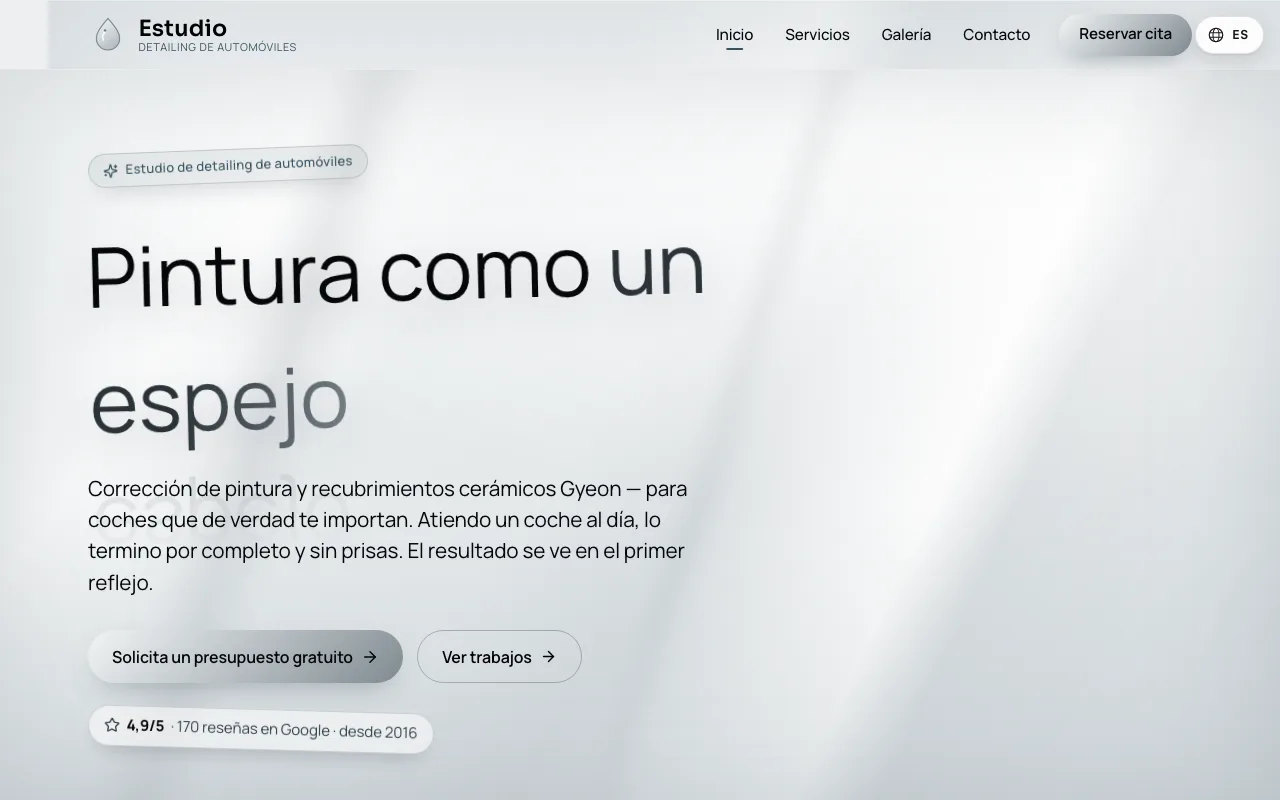 Web de detailing Pintura como un espejo