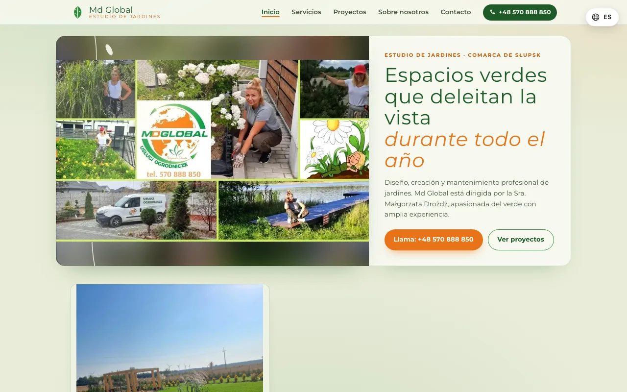 Web de MD Global
