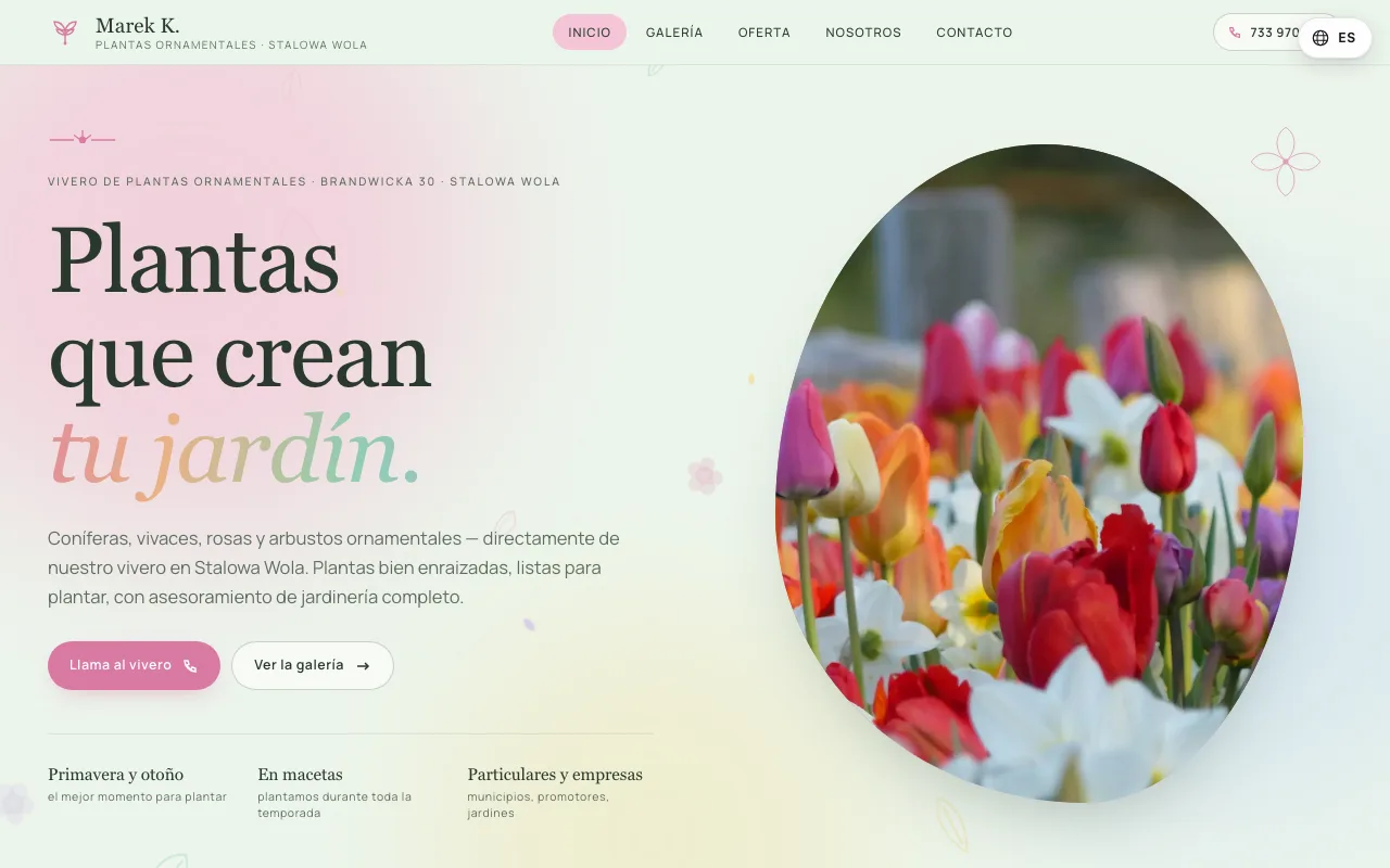 Web de Marek K. Rośliny Ozdobne