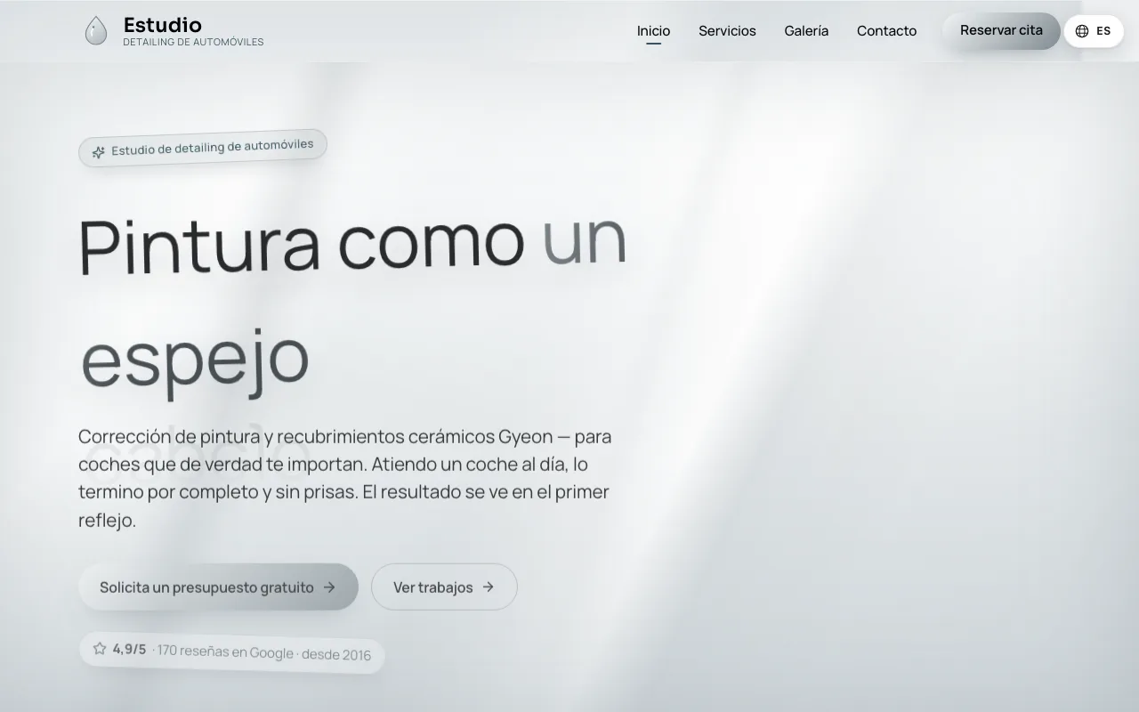 Web de Lustro Detailing