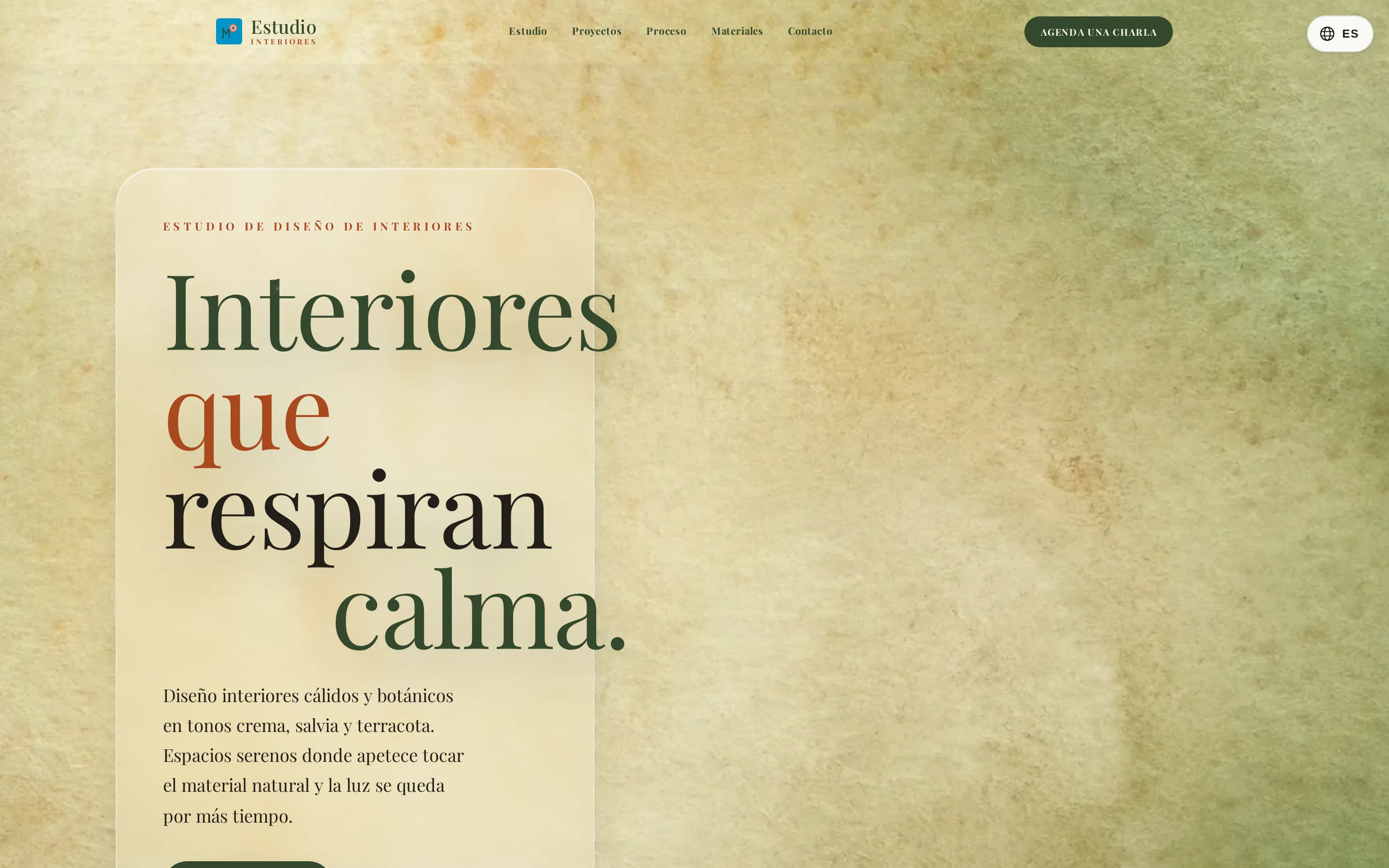 Captura de pantalla de la web D-Studio